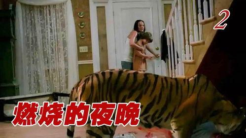 猛虎之家在线观看,在线观看揭秘惊悚悬疑背后的真实故事  第1张