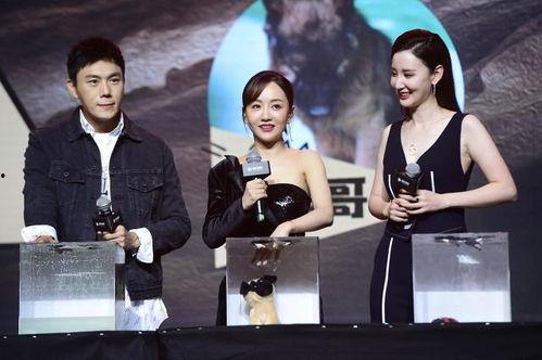 娱乐圈吧吃瓜爆料 第3张 娱乐圈吧吃瓜爆料 第3张